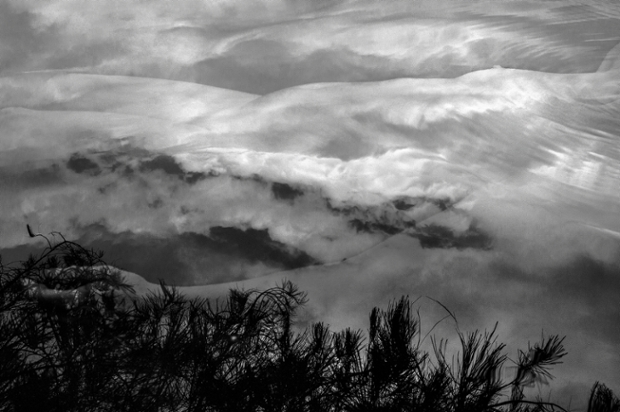An artistic black and white image of clouds with vegetation in the foreground